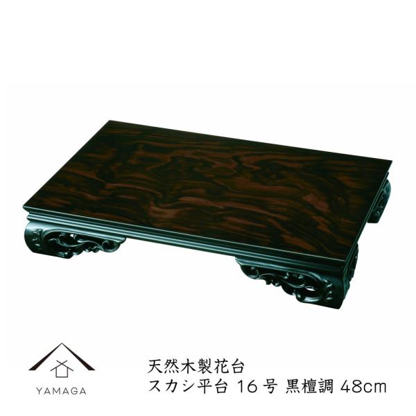 ԑ ؐ  ~ XJV䍕h 16 48cm  ̓ ̓  Mtg