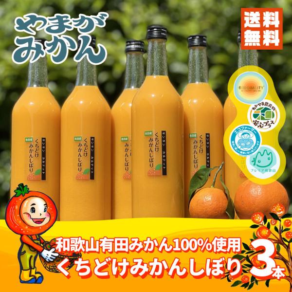 みかんジュース くちどけみかんしぼり サンサンカルテット 900ml 3本入り 和歌山 やまがみかん園 送料無料