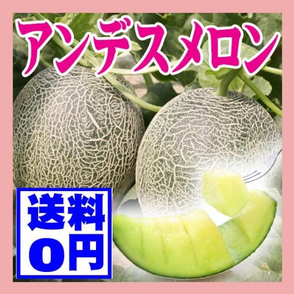 メロン 3lの人気商品 通販 価格比較 価格 Com