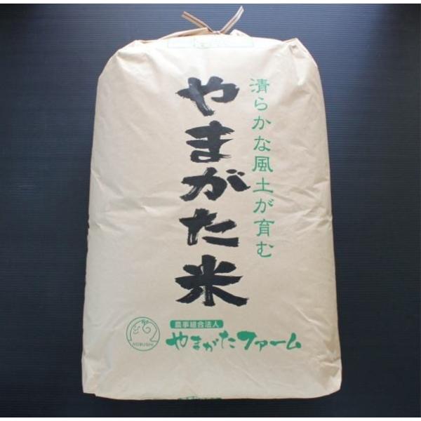 つや姫 30kgの人気商品 通販 価格比較 価格 Com