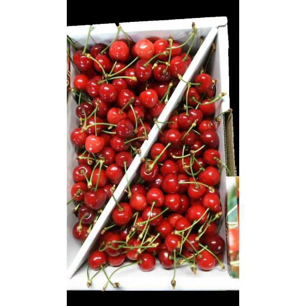 [Release date: June 20, 2026]【予約商品】ご自宅用に有機肥料を使用し、１粒１粒に愛情を込めた自家農園の果物。さくらんぼの中で味も人気もNo.１の佐藤錦をお楽しみ下さい。一部離島を除き全国発送いたします。２０２６年...