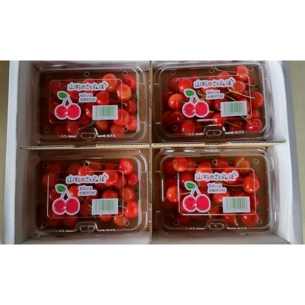 [Release date: June 20, 2026]【予約商品】ご自宅用に最適です。写真の２００ｇ入りのパック４つが１箱に入り発送になります。有機肥料を使用し、１粒１粒に愛情を込めた自家農園の果物。さくらんぼの中で味も人気もNo.１の...
