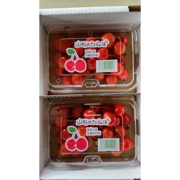 [Release date: June 20, 2026]【予約商品】ご自宅用に最適です。写真の２００ｇ入りのパック２つが１箱に入り発送になります。有機肥料を使用し、１粒１粒に愛情を込めた自家農園の果物。さくらんぼの中で味も人気もNo.１の...