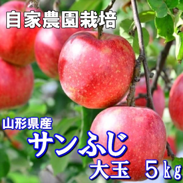 りんご サンふじ 山形県産 贈答用 御歳暮 5kg 特秀 大玉 12玉〜16