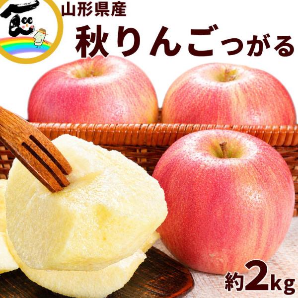 りんご つがる 山形県産 2kg 5〜7玉 甘くて酸味ひかえめ ジューシー 食感抜群 果物 フルーツ 秋 ギフト 家庭用
