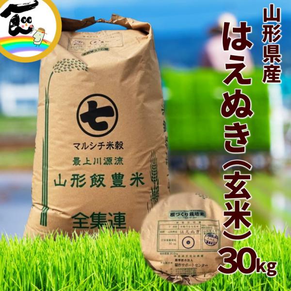 【令和7年産】はえぬき 玄米 30kg 山形県飯豊町産 令和7年産 家庭用米 業務用 大容量 送料無料