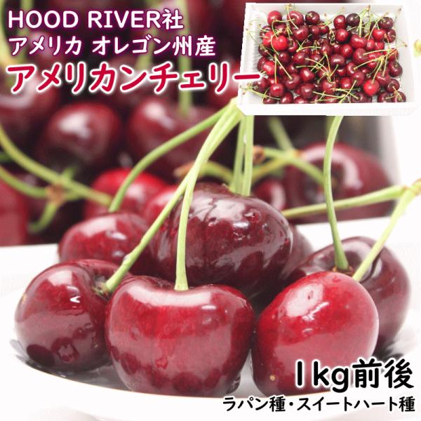 アメリカンチェリー さくらんぼの人気商品 通販 価格比較 価格 Com