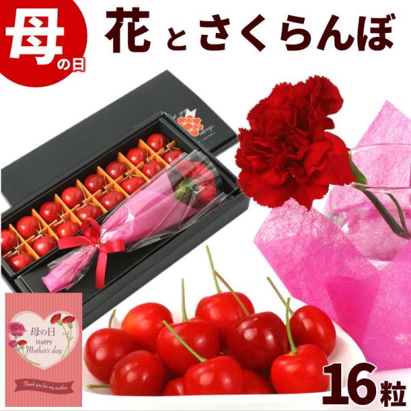 商品内容母の日ギフトさくらんぼと生花カーネーションさくらんぼ：佐藤錦、秀品、Ｌサイズ16粒カーネーション：生花1本※母の日メッセージカード付※箱、パッケージは予告なく変更される場合がございます。あらかじめご了承ください。発送時期発送期間：5...