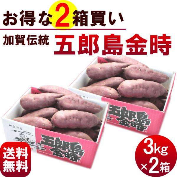 商品内容石川県産　加賀伝統野菜さつまいも 五郎島金時　3kg (10〜13本)×2箱発送時期9月上旬〜5月下旬ご注文いただいた順に、順次発送いたします原材料さつまいも賞味期限生ものなので、お早めにお召し上がりください。保存方法常温で風通しの...