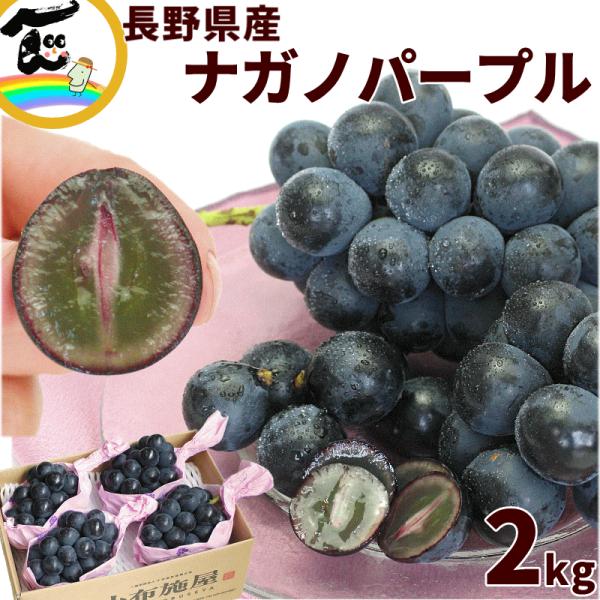 ぶどう 長野県産 小布施屋 ナガノパープル 秀品 3〜4房 2kg 産地直送 種なし 黒ぶどう 高級 フルーツギフト 送料無料