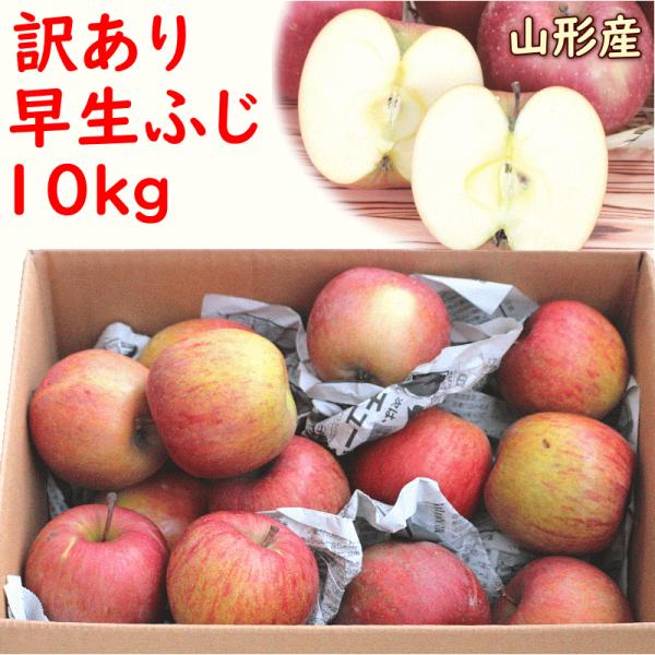 りんご 訳あり ふじ 早生ふじ 山形県産 訳あり早生ふじ 10kg 10月上旬頃から発送 送料込