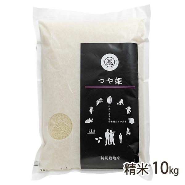 【令和7年度米】山形県産 つや姫（特別栽培米）精米10kg/渡部ファーム/送料無料
