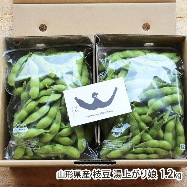 山形県産 枝豆 湯上がり娘 1.2kg（300g×4袋）/最上園 百姓ワタナベ/後払い決済不可/送料無料