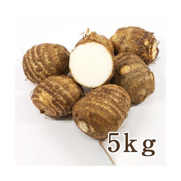 [Release date: September 27, 2025]土づくりにこだわって栽培されたあべ農場の里芋。粘りの強いねっとりとした食感と、里芋本来の優しい甘みがたまらない美味しさです。煮崩れしにくく、山形の郷土料理・芋煮にも最適です...