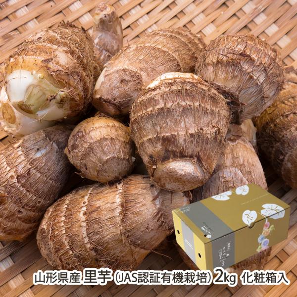 [Release date: October 28, 2025]化学肥料や農薬を使用せずに育てたJAS認証の有機里芋。土づくりによって甘みや粘りを引き出すことで、里芋本来の美味しさを味わえます。まずは皮付きのまま茹でて、塩や味噌をつけてどう...