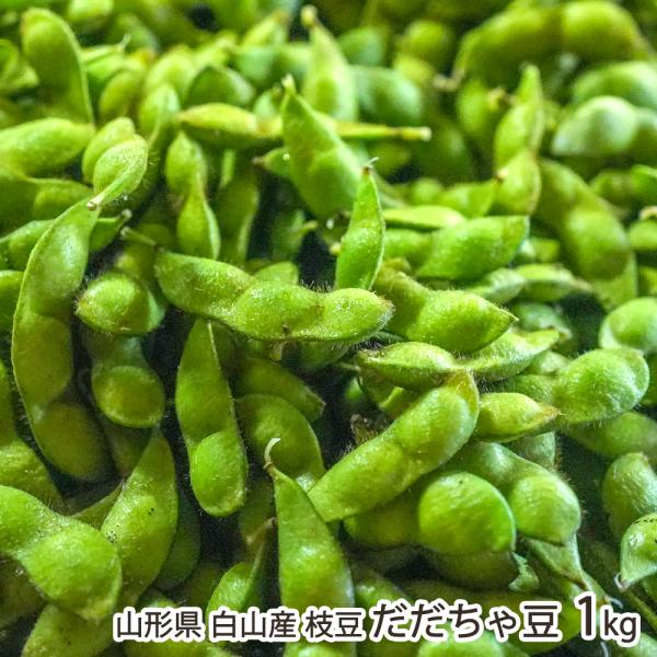 山形県 白山産 枝豆 だだちゃ豆 1kg（500g×2袋）/白山ちゃ茶農園/送料無料