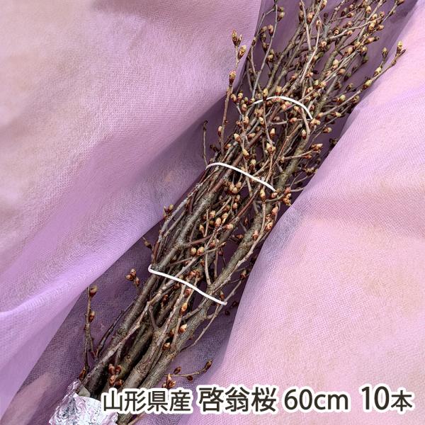 [Release date: December 26, 2025]東根市を拠点に啓翁桜の生産を手掛ける「サクラヒラリ」から、季節を先取りして冬から楽しめる桜「啓翁桜」をお届け。花開く直前まで温度・湿度管理を施した「つぼみ」の状態で発送します...