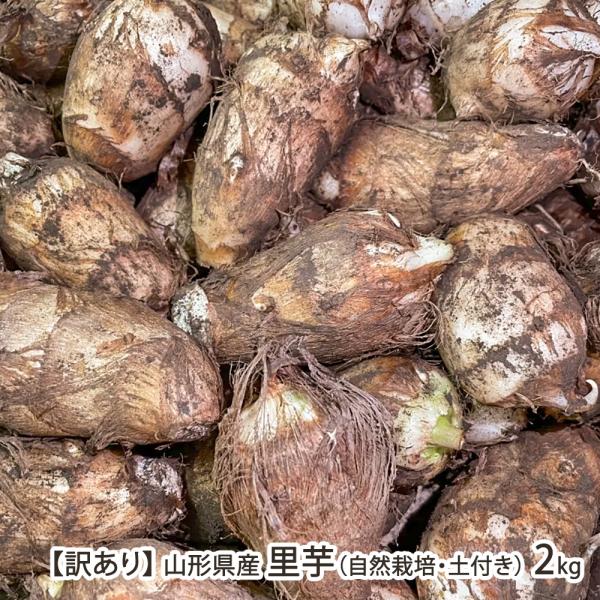 100年以上に渡って里芋を扱う「さとう農園」。農薬と化学肥料を使わずに丹精込めて育てました。煮物や汁物にぴったりのねっとりした食感と、やさしい甘みが特徴。山形の郷土料理・芋煮にも最適です。山形市で里芋を専門に扱う「さとう農園」。全国からその...
