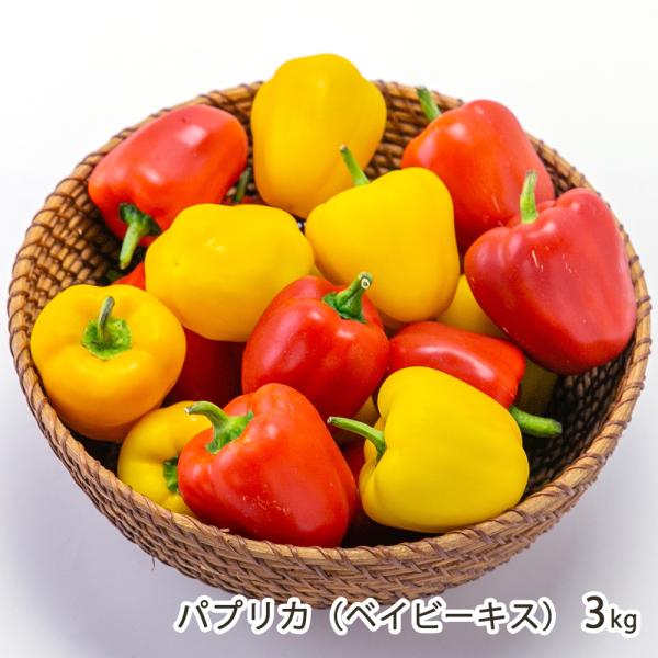 高畠町のYAMADEN AGRIから、完全室内栽培で育てたパプリカ「ベイビーキス」をお届け。365日安定したおいしさと品質が自慢です！艶のある赤色と黄色が鮮やかで美しく、料理に華を添えてくれますよ。YAMADEN AGRIは、山形電子株式会...