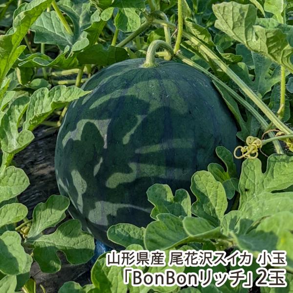 山形県産 尾花沢スイカ 小玉「BonBonリッチ」2玉/朝の香ファーム/後払い決済不可/送料無料