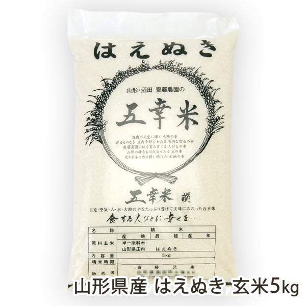 【令和8年度新米】山形県産 はえぬき 玄米5kg（5kg×1袋）/齋藤農園/後払い決済不可/送料無料