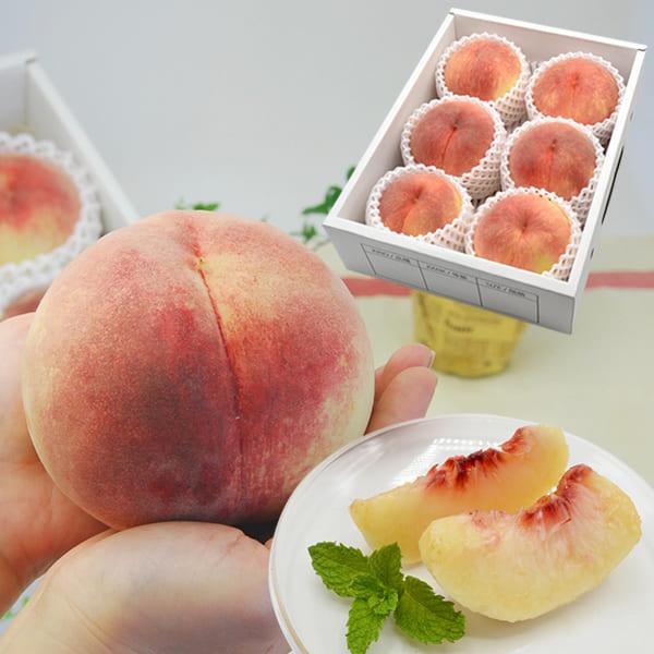 Y*i様 特大 摘果桃 若桃 西王母20〜22kg 2025年完売】2026年6月頃〜予約開始予定|プレミアム白桃 西王母
