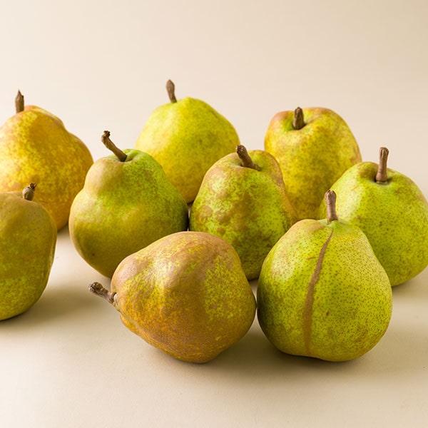 なめらかな食感が人気の西洋梨ラフランス。《訳あり》なのでお買得！毎日のデザートやお菓子作りにぜひどうぞ。