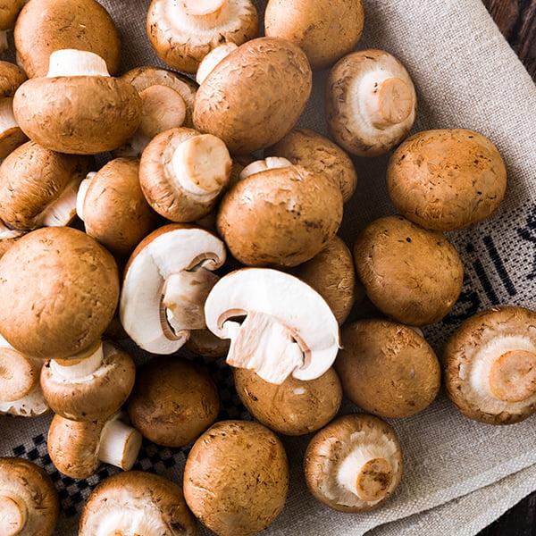 旨みたっぷり。鮮度抜群の舟形マッシュルームをぜひお楽しみください。《訳あり》商品となりますが、味には変わりありませんのでお買い得です！