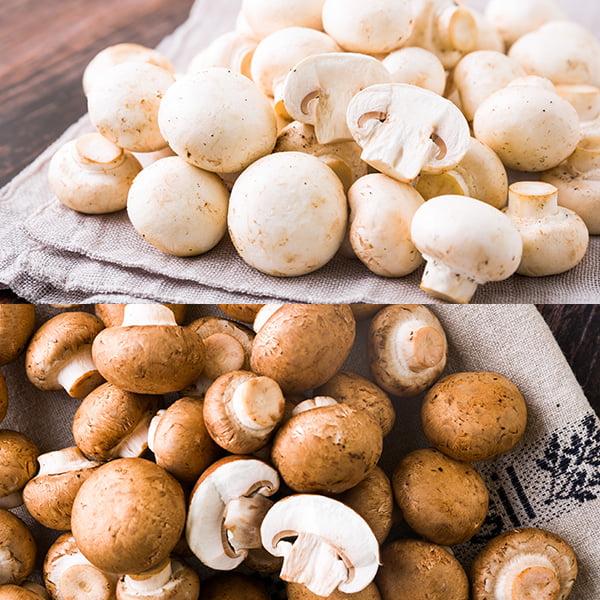 旨みたっぷり。鮮度抜群の舟形マッシュルームをぜひお楽しみください。《訳あり》商品となりますが、味には変わりありませんのでお買い得です！