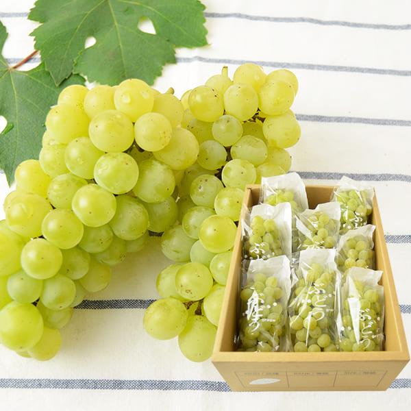 大人気ぶどう8kg 先行予約】 やりみず農園 種なし 巨峰 4房から9房 （約3kg） 【2026年8