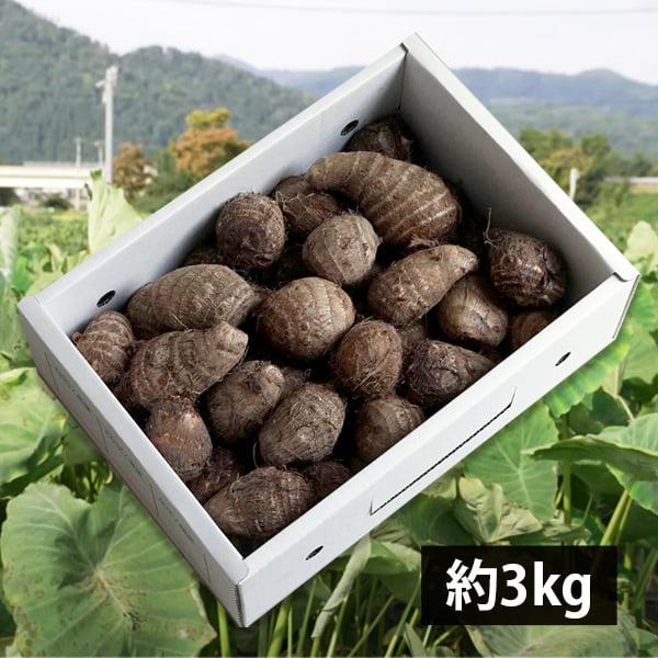 里芋※購入されないようご注意ください _960_230208074505.jpeg