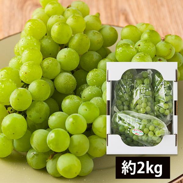 予約受付中：9月上旬頃より発送予定|山道農園のぶどうハニーシードレス約2kg(5房前後)