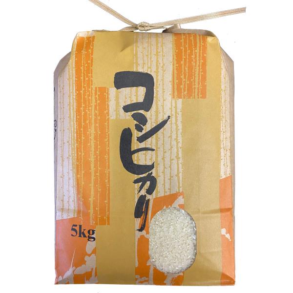 山形県産 コシヒカリ 令和8年産 新米 予約 受付 開始 送料無料 白米 5kg 送料無料 安全で確かなものを食卓へ 5キロ 五キロ お米 おこめ