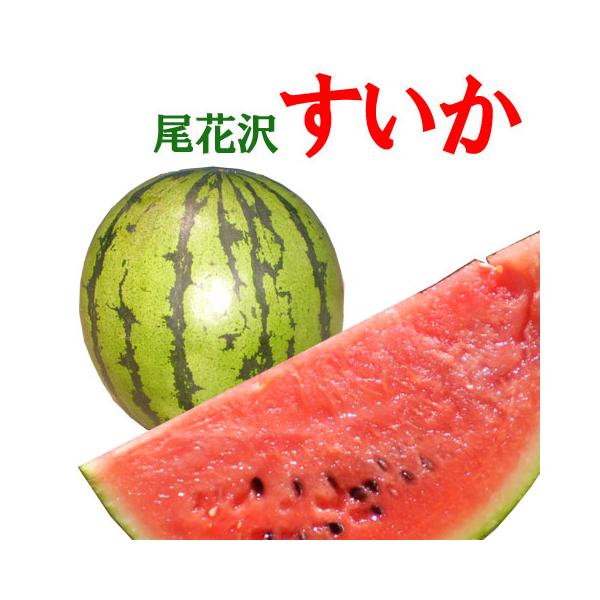 [Release date: July 28, 2026]【山形県産　尾花沢スイカ】（1玉）【内容量】（1玉）【発送について】2026年7月下旬よりご予約受け付け順に発送開始予定《収穫状況により前後します》《予約商品》となります。発送が近く...