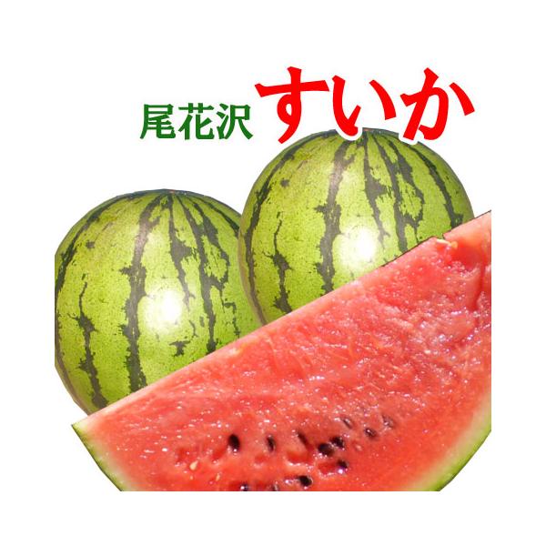 [Release date: July 28, 2026]【山形県産　尾花沢スイカ】（2玉）【内容量】（2玉）【発送について】2026年7月下旬よりご予約受け付け順に発送開始予定《収穫状況により前後します》《予約商品》となります。発送が近く...