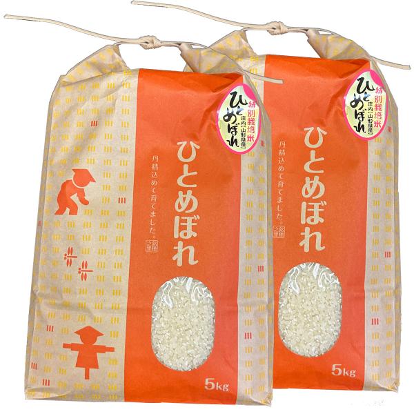 山形県産 特別栽培米 ひとめぼれ 令和8年産 新米 予約 受付 開始 送料無料 白米 5kg×2 10キロ 十キロ お米 おこめ 10kg