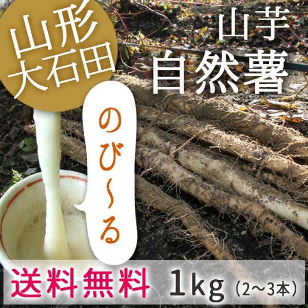 ねばねばパワーで元気になろう！産地直送のため他の商品と同梱不可<br><br>