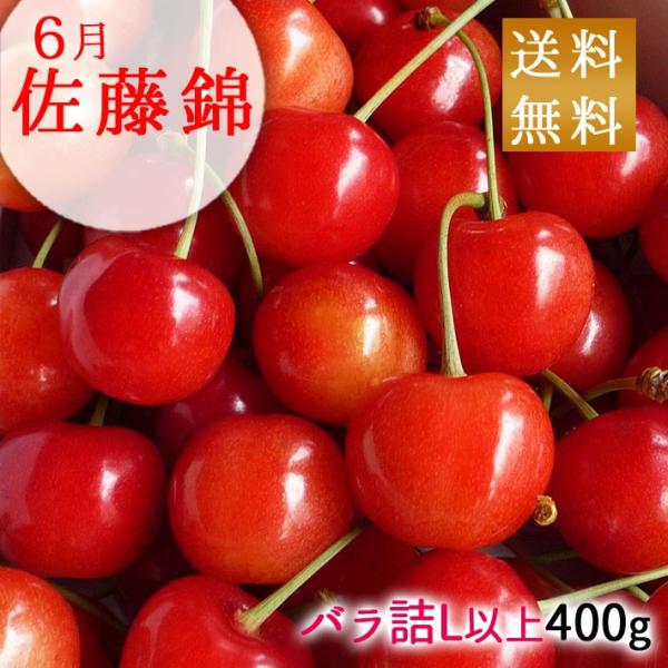 6月下旬〜7月上旬お届け予定 フルーツ さくらんぼ 山形県産 佐藤錦 400g バラ詰め 秀L クール便 送料無料