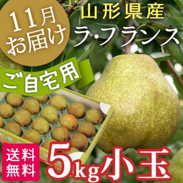 t[c tX R` 5kg  p GL 