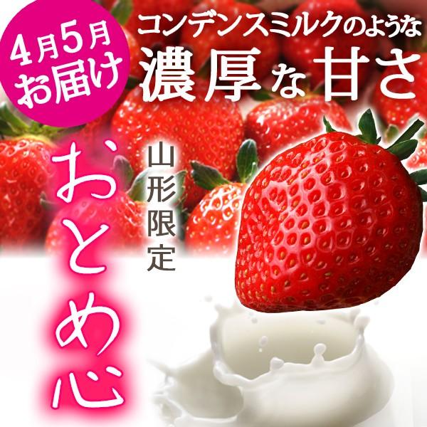 フルーツ いちご 山形県産 おとめ心 大粒15-16粒入ギフト箱入 クール便 5月お届け