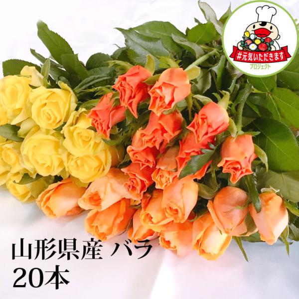 ■商品内容山形県寒河江市産バラ20本品種はお任せください。色はピンク系・赤系・オレンジ&amp;黄色系からお選びください。■発送方法ヤマト運輸（常温）生産者直送。ほかの商品と同梱できません。■品質保証期間到着日限り