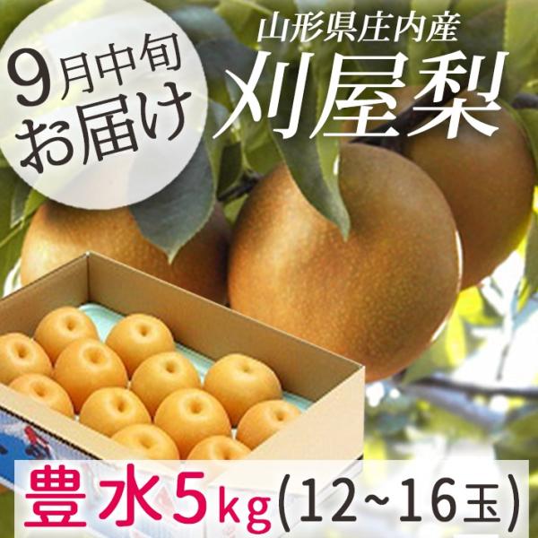 r-2 千葉県産 豊水梨 加工用 10kg (5kg×2)