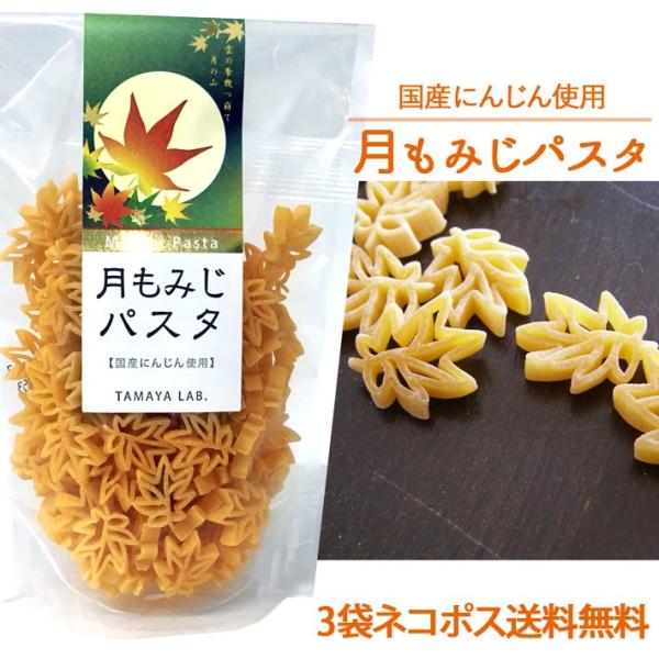 ʒJ ݂pX^ Yɂ񂶂gp 100g × 3܃Zbg fR ̐Fǂ fR[VpX^ gbsO 킢  J[pX^