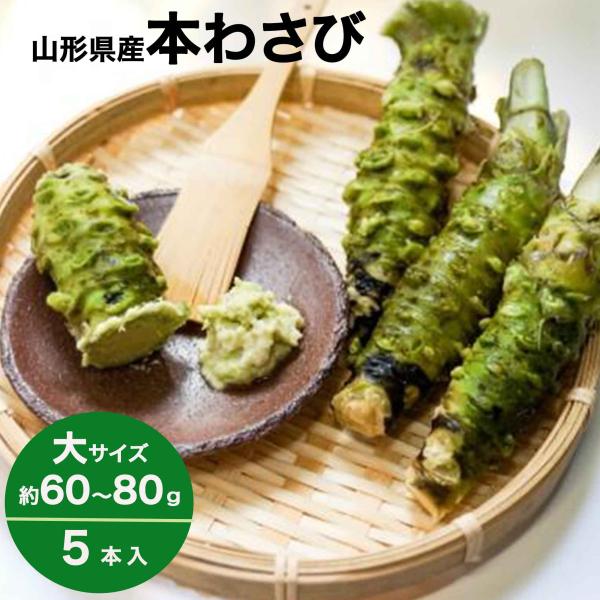 わさび 本わさび 5本 大サイズ 約60〜80g 山形 東根 大富農産 wasabi 山葵 クール便 送料無料