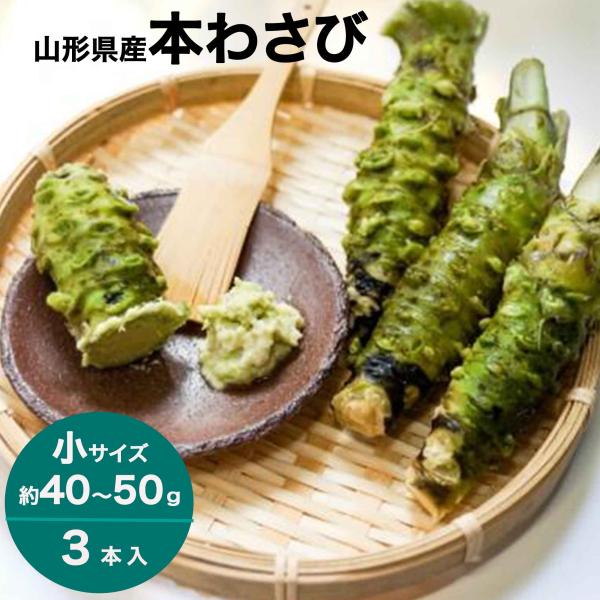 わさび 本わさび 3本 小サイズ 約40〜50g 山形 東根 大富農産 wasabi 山葵 クール便 送料無料
