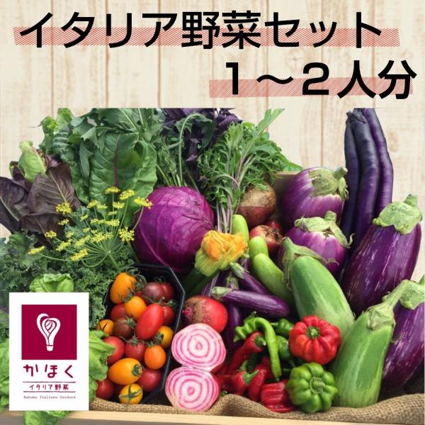 イタリア野菜4〜6種類お家イタリアンにインスタ映え間違いなしの個性的な野菜たち■こんな野菜が入ります（季節によって変わります）トレヴィーゾ・ステラ(ズッキーニ)・バンビーノ(ズッキーニ)・丸ズッキーニ・花ズッキーニ・セロリアック・バナナピー...