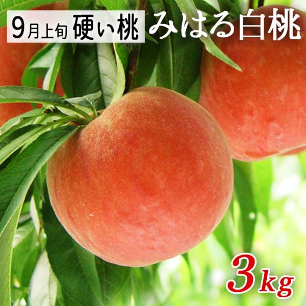 桃 特大 硬い桃 みはる白桃2 5kg 6 8玉 美晴白桃 送料無料 9月お届け 山形県朝日町産 生産者直送他の商品と同梱不可 Miharu25 山形の果物 お酒 まるごと山形 通販 Yahoo ショッピング