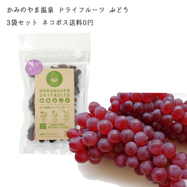 2026 国産 かみのやま温泉 のら農園 ドライフルーツ ぶどう 40gx3袋入