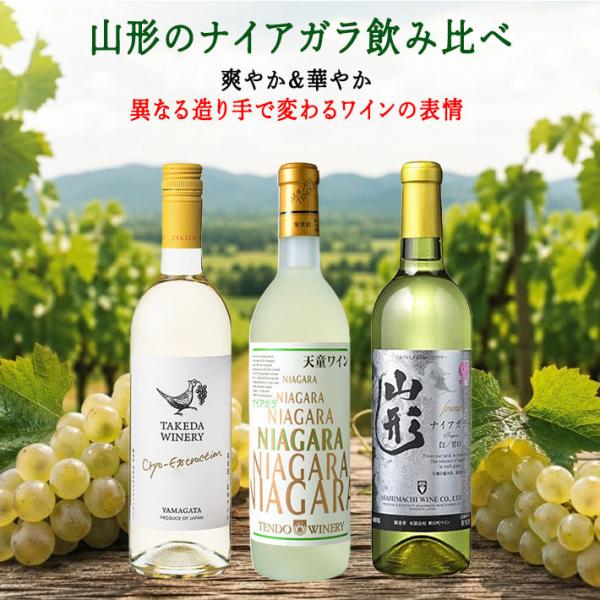 ワインセット 白 甘口 御中元 夏ギフト 白ワイン ナイアガラ 720ml  3本 飲み比べセット クリオエクストラクシオン甘 x 天童ナイアガラ甘 x フェルメナイアガラ