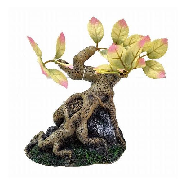 yRguLAEgbgzlH؁wgc[No.4x